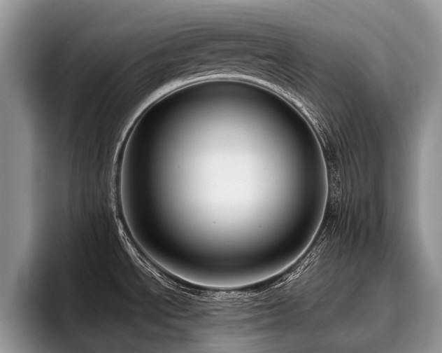 X0000096211534200801181420