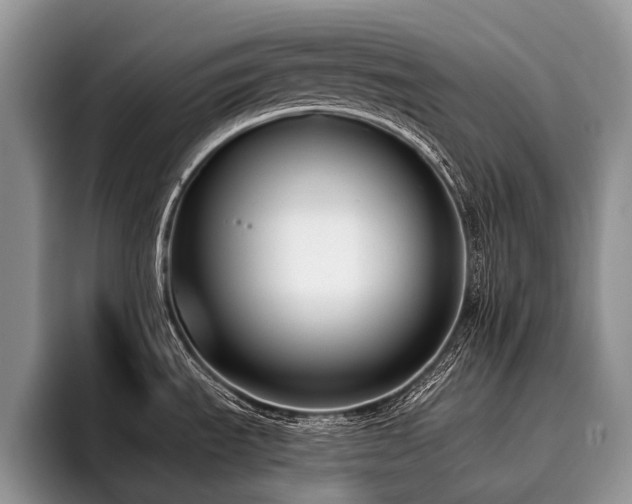 X0000096211535200801181420