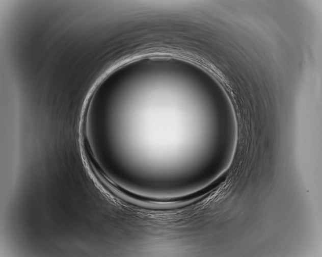 X0000096211536200801181420