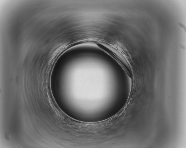 X0000096210001200801251045