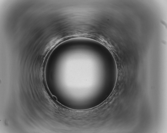 X0000096210002200801251045