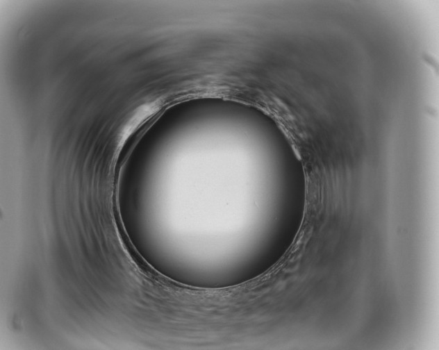 X0000096210003200801251045