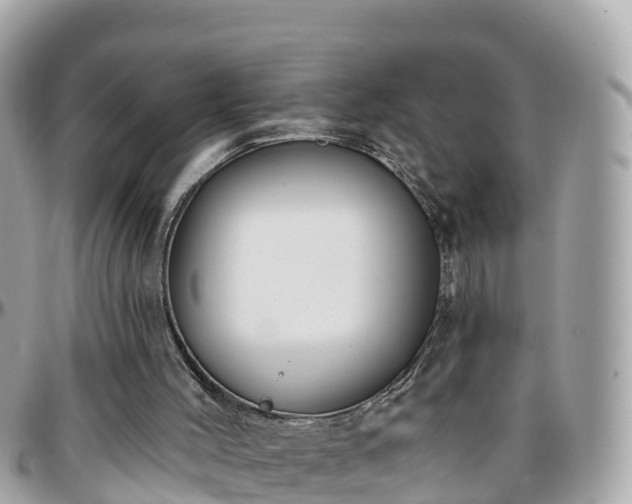 X0000096210004200801251045