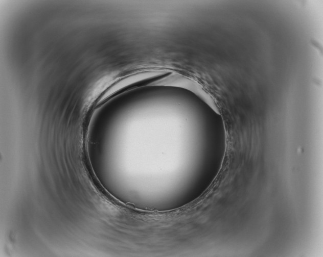 X0000096210005200801251044