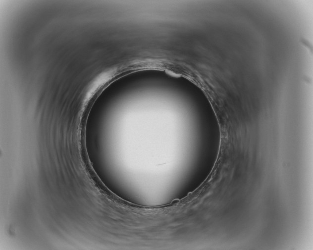 X0000096210006200801251044