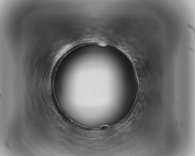 X0000096210008200801251044