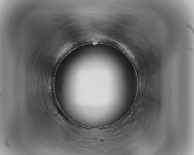 X0000096210010200801251044