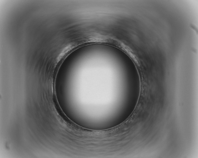 X0000096210011200801251044