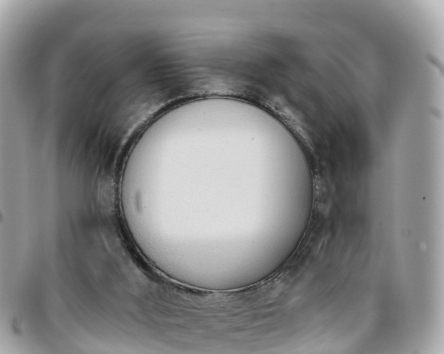 X0000096210012200801251044