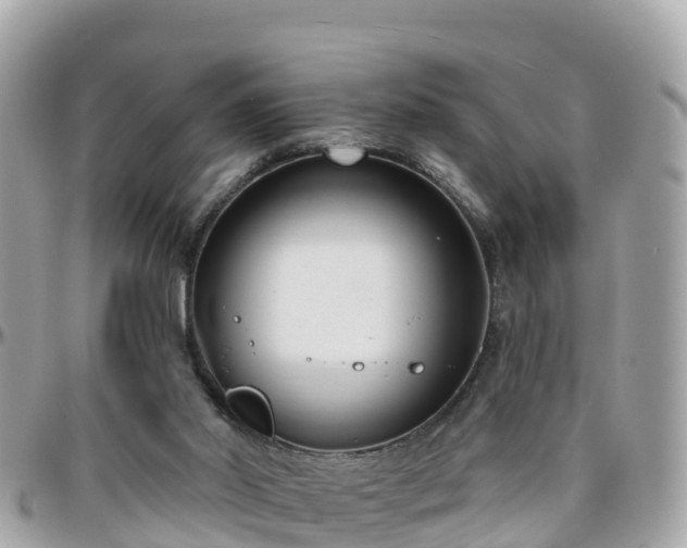 X0000096210014200801251044