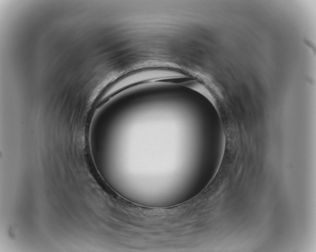 X0000096210015200801251044