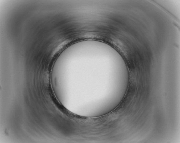 X0000096210016200801251044