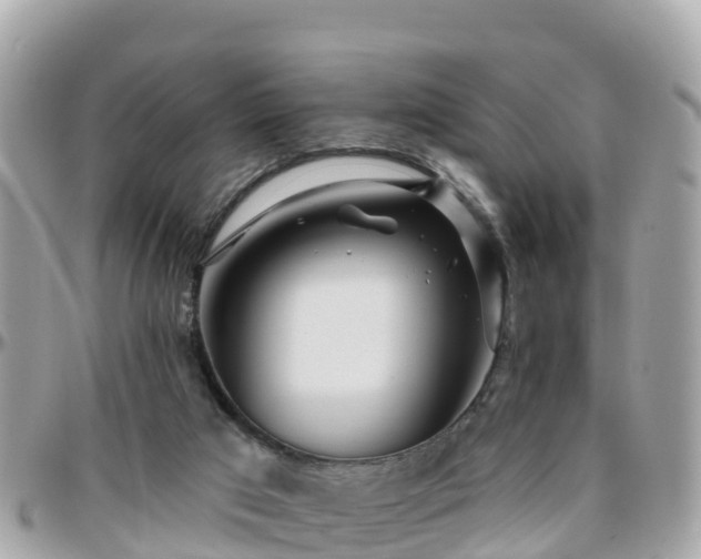 X0000096210017200801251044