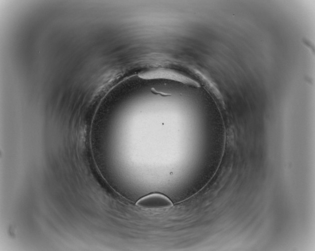 X0000096210018200801251044