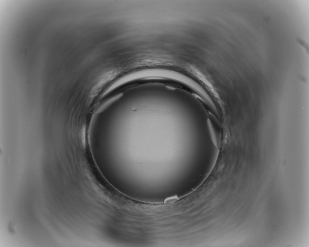 X0000096210019200801251044