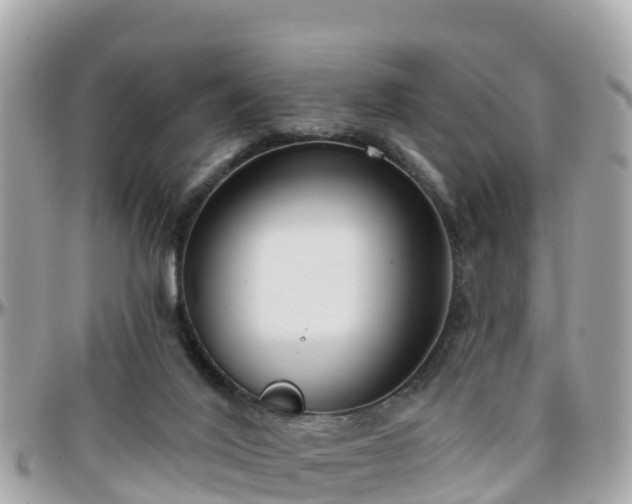 X0000096210020200801251044