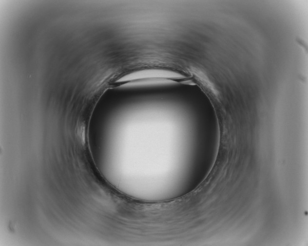 X0000096210021200801251044