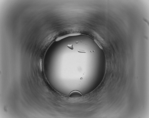 X0000096210022200801251044