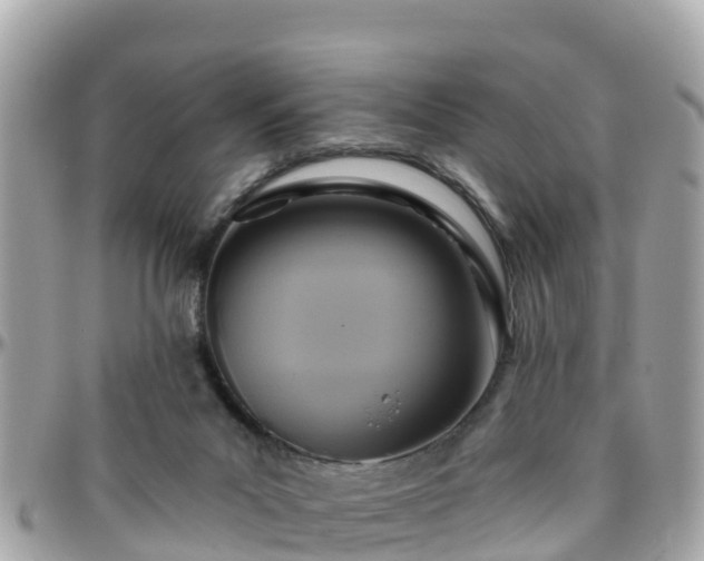 X0000096210023200801251044