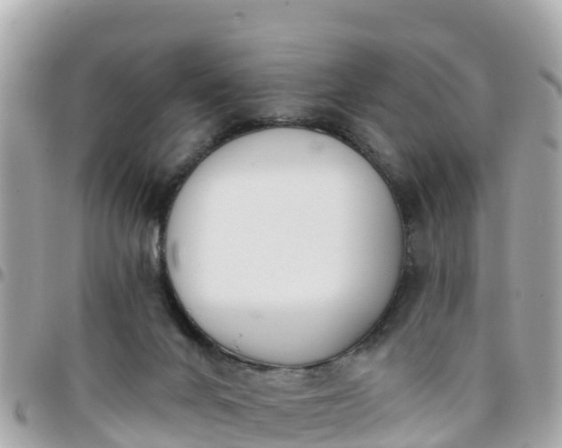 X0000096210024200801251044