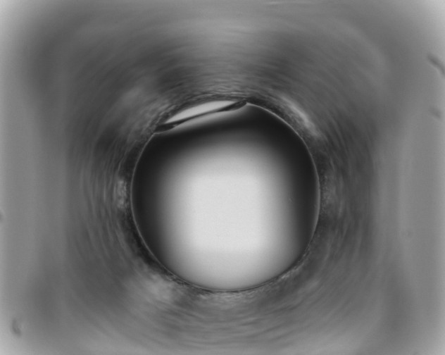 X0000096210025200801251044