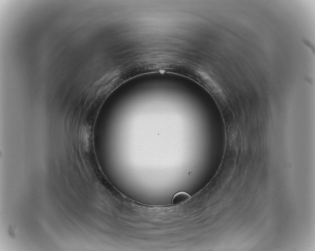 X0000096210026200801251044