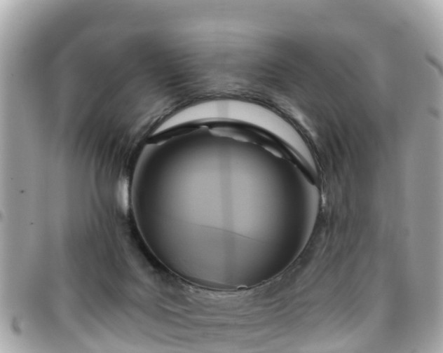 X0000096210027200801251044