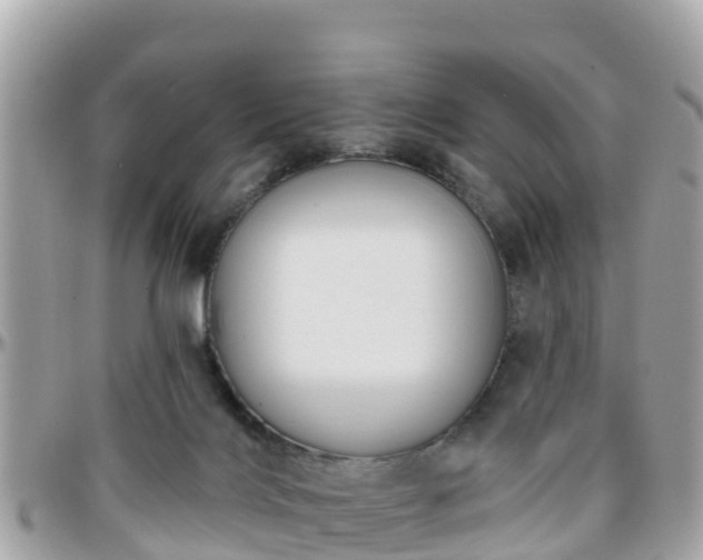 X0000096210028200801251044