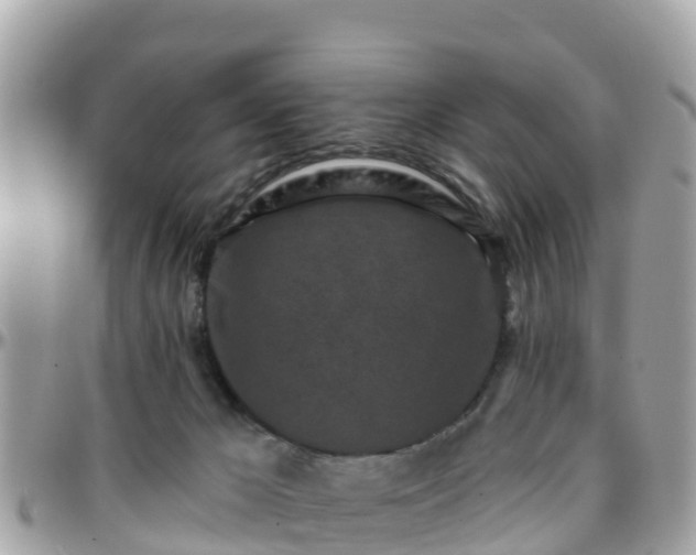 X0000096210029200801251044