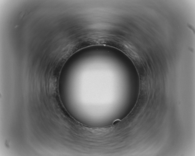 X0000096210030200801251044