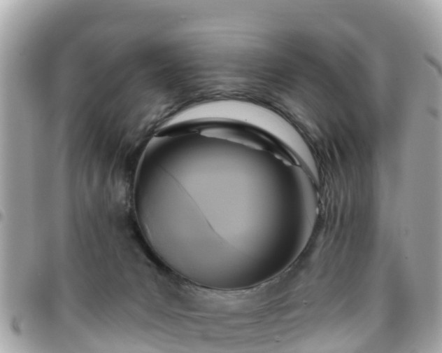 X0000096210031200801251044