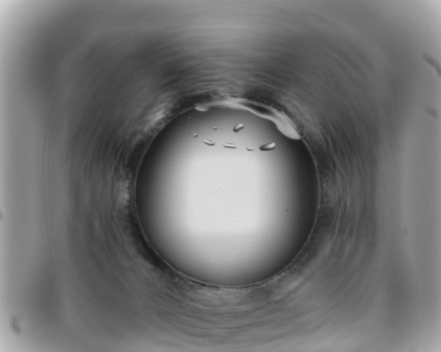 X0000096210032200801251044