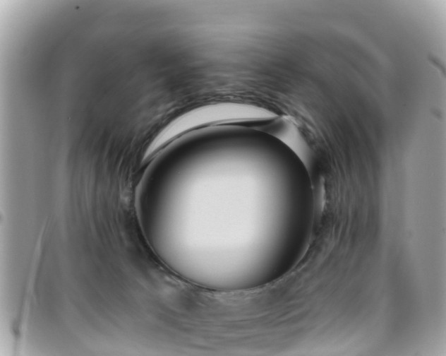 X0000096210033200801251044