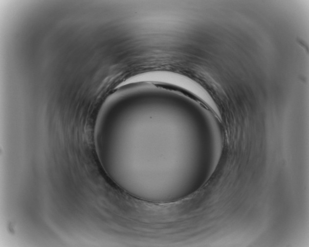 X0000096210035200801251044