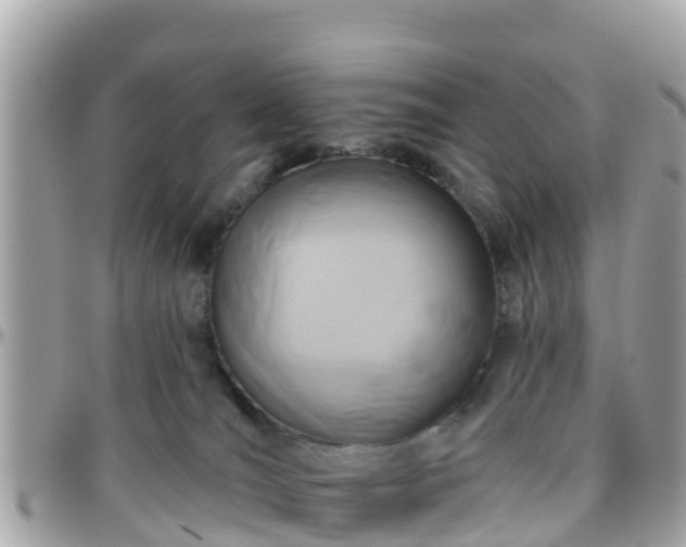 X0000096210036200801251044