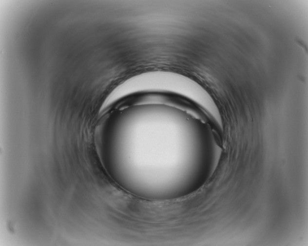 X0000096210037200801251044