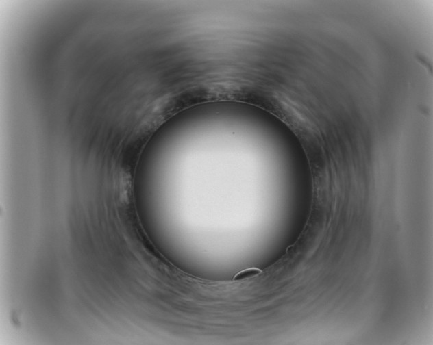 X0000096210038200801251044