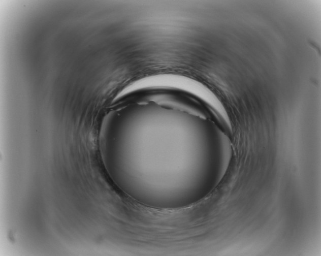 X0000096210039200801251044