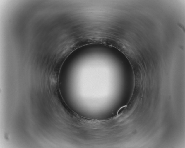 X0000096210040200801251044