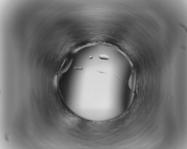 X0000096210041200801251044