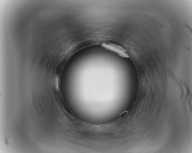 X0000096210042200801251044