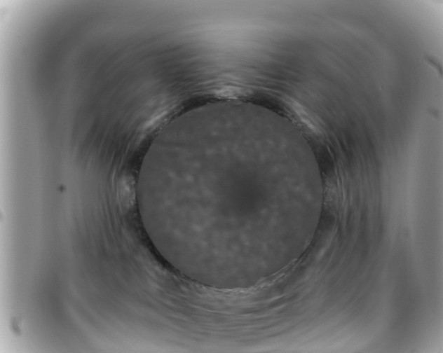 X0000096210043200801251044