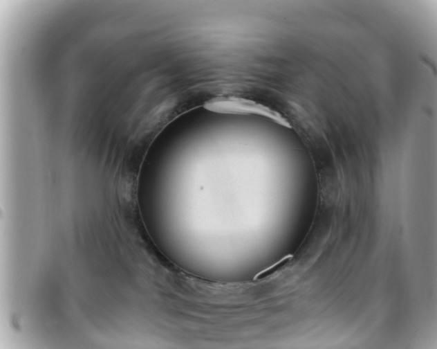 X0000096210044200801251044