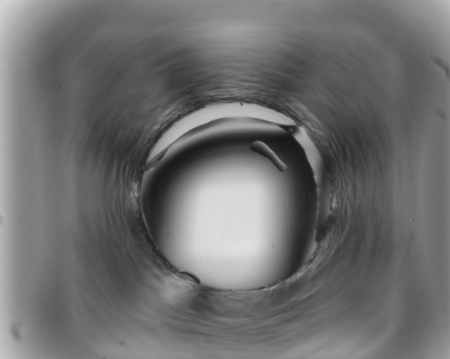 X0000096210045200801251044