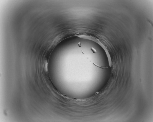 X0000096210046200801251044