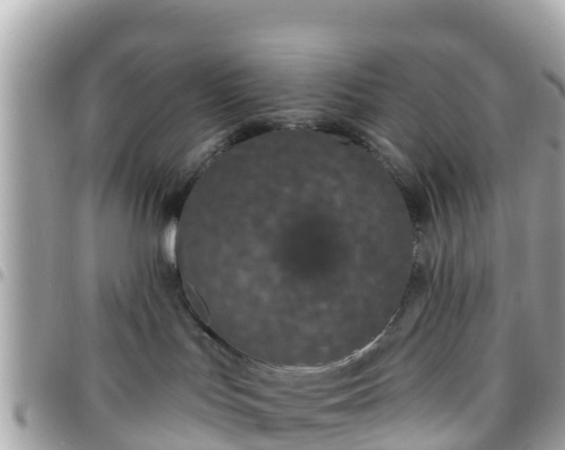 X0000096210047200801251044