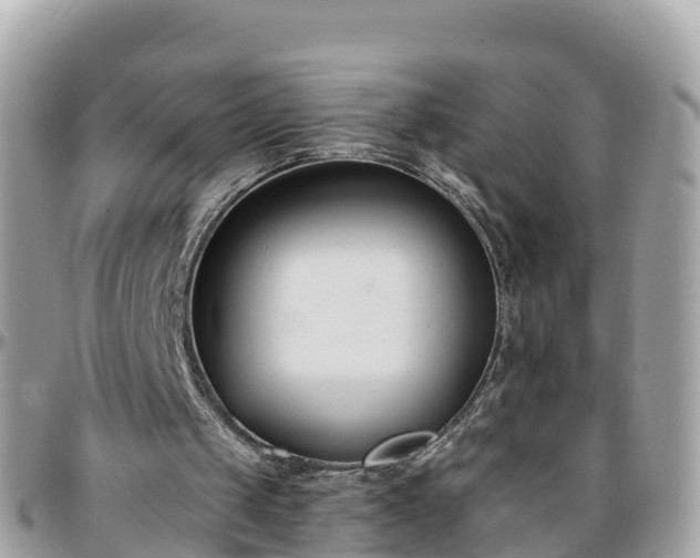 X0000096210049200801251043