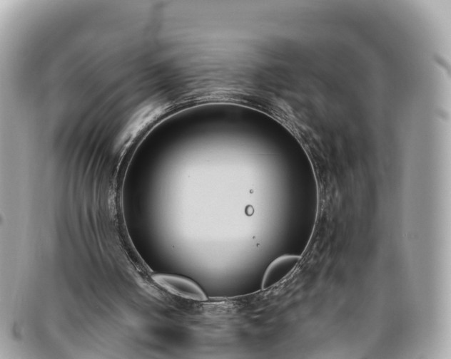 X0000096210050200801251043