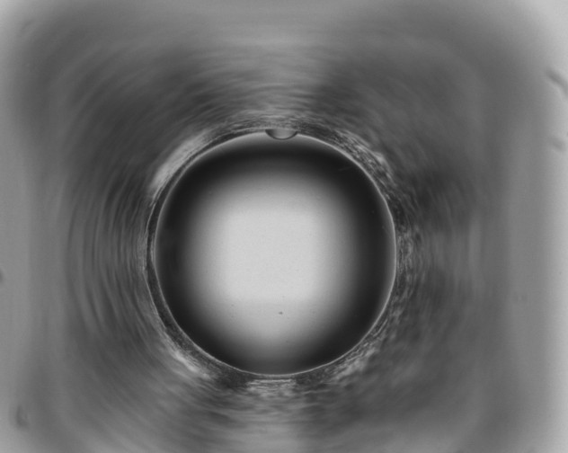 X0000096210051200801251043