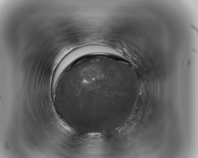 X0000096210052200801251043